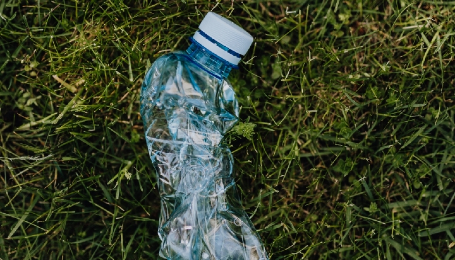 Zaļā zālē nomesta daļēji saplacināta tukša, zila un aizskrūvēta plastmasas pudele